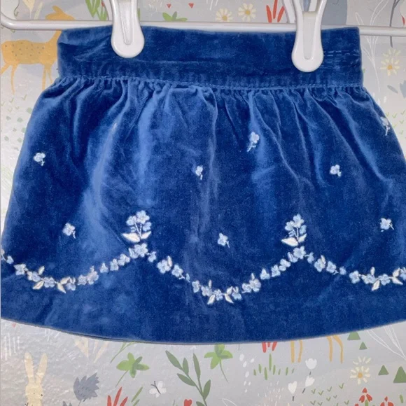 Blue Velvet Janie and Jack Skirt Baby Blue Floral Embroidery 3-6 Mo Hanukkah - Picture 10 of 13
